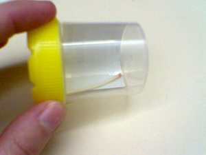 The Implant
