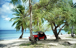 The Barbados Fertility Center - West Indies