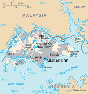 Gleneagles Hospital and Medical Center - Singapore