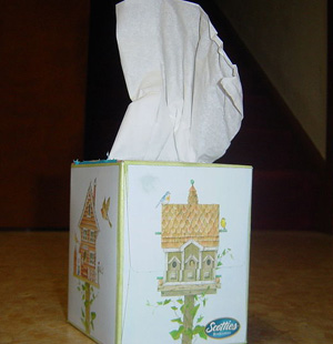 6. Use disposable tissues