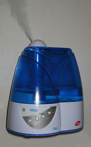 7. Use a humidifier in the winter